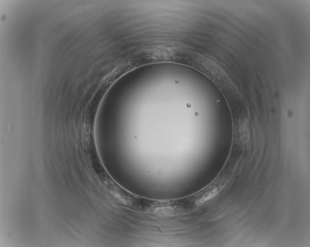 X0000061730228200512091553