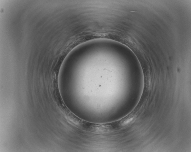 X0000061730229200512091553