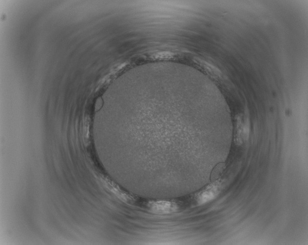 X0000061730230200512091553