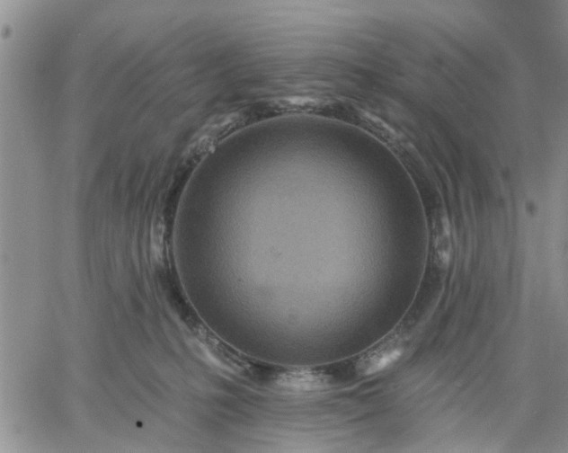 X0000061730231200512091553