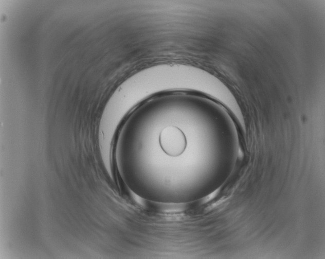 X0000061730233200512091553