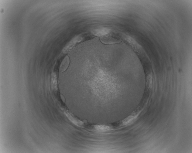 X0000061730234200512091553