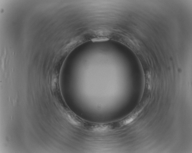 X0000061730235200512091553