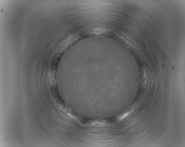 X0000061730236200512091553