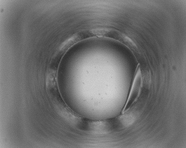 X0000061730237200512091553