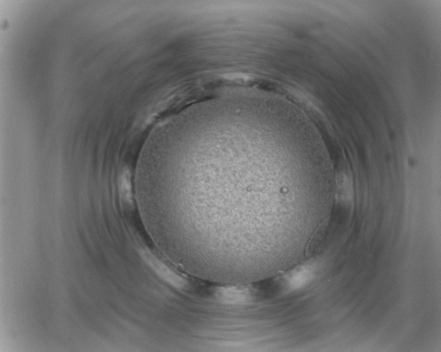 X0000061730238200512091553