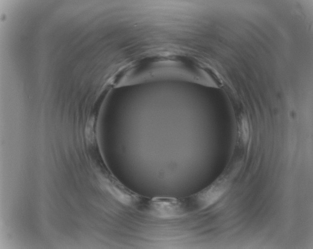 X0000061730239200512091553