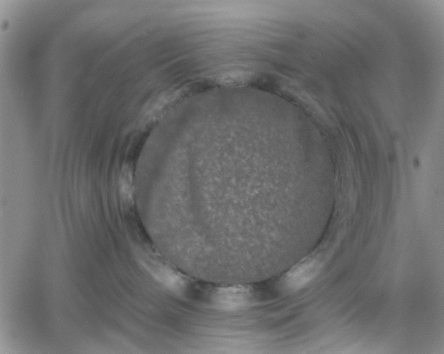 X0000061730240200512091553