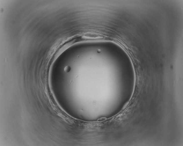 X0000061730241200512091552