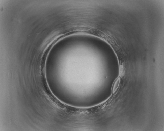 X0000061730243200512091552