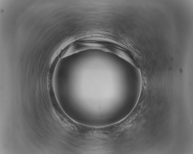 X0000061730244200512091552