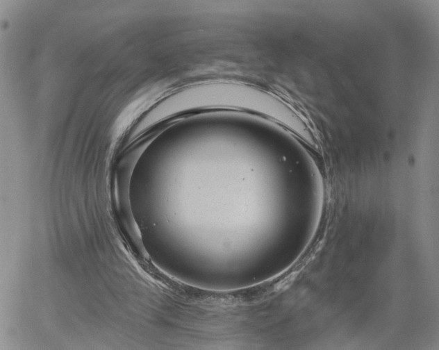 X0000061730245200512091552