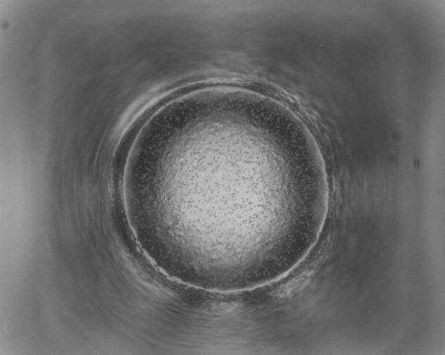 X0000061730247200512091552