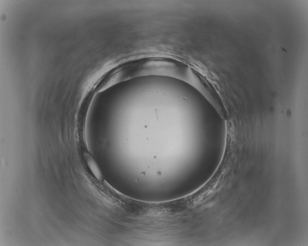 X0000061730248200512091552