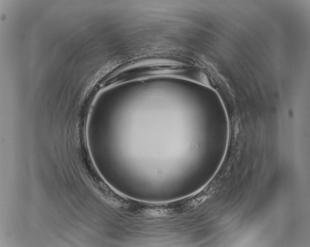 X0000061730250200512091552