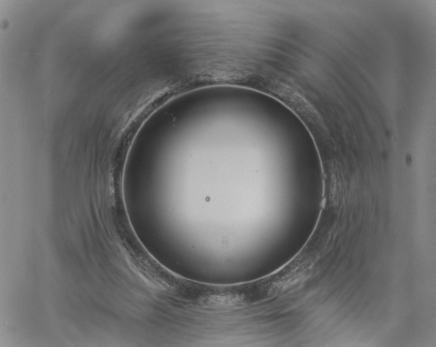 X0000061730251200512091552