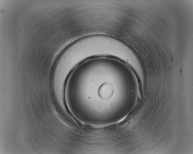 X0000061730252200512091552