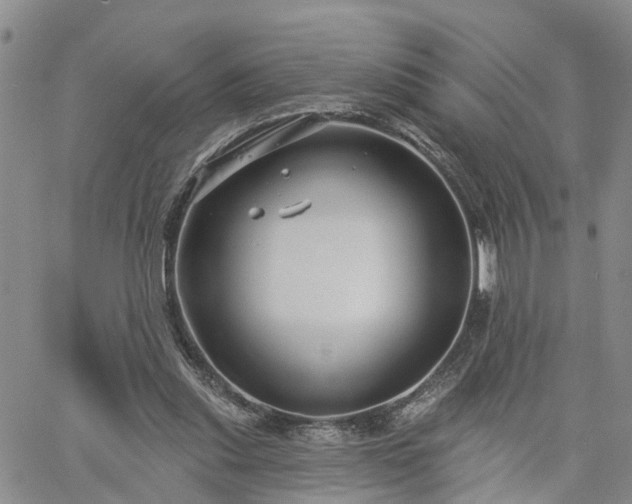 X0000061730253200512091552