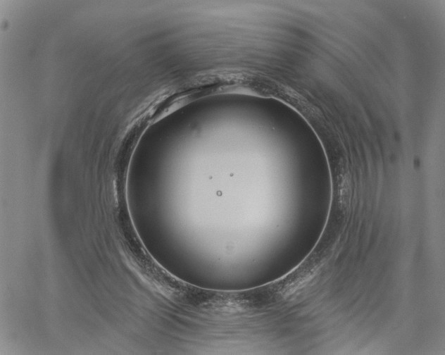 X0000061730254200512091552