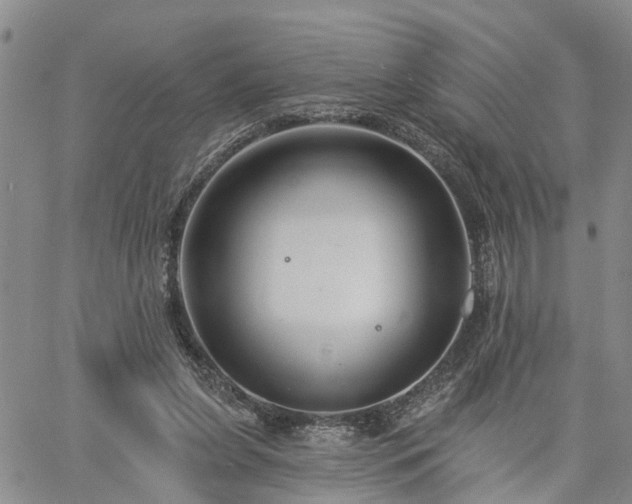 X0000061730255200512091552