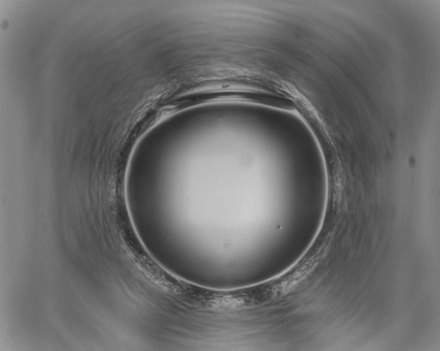 X0000061730257200512091552