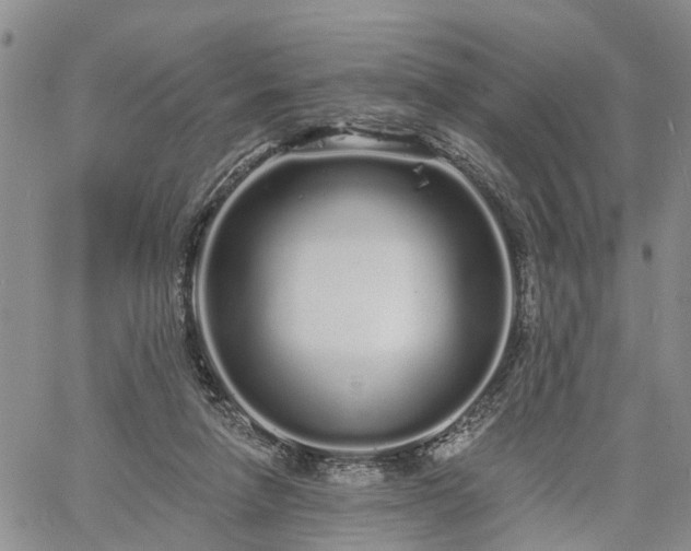 X0000061730258200512091552