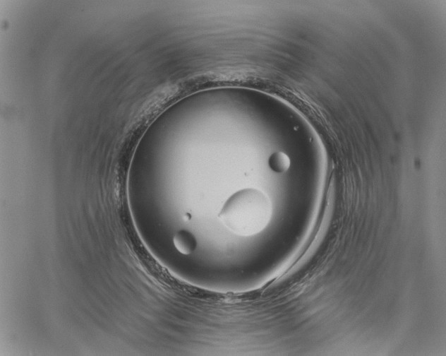 X0000061730261200512091552