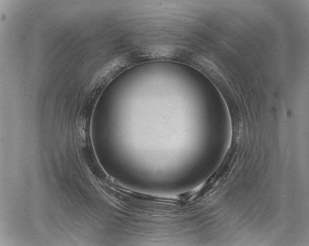 X0000061730264200512091552