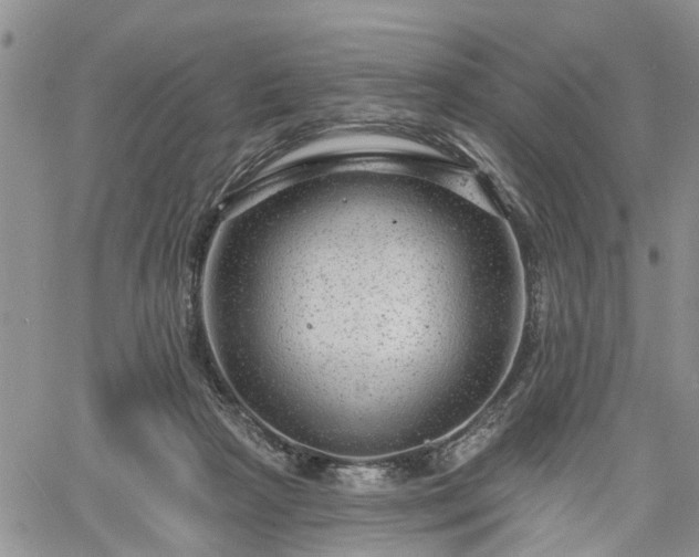 X0000061730265200512091552