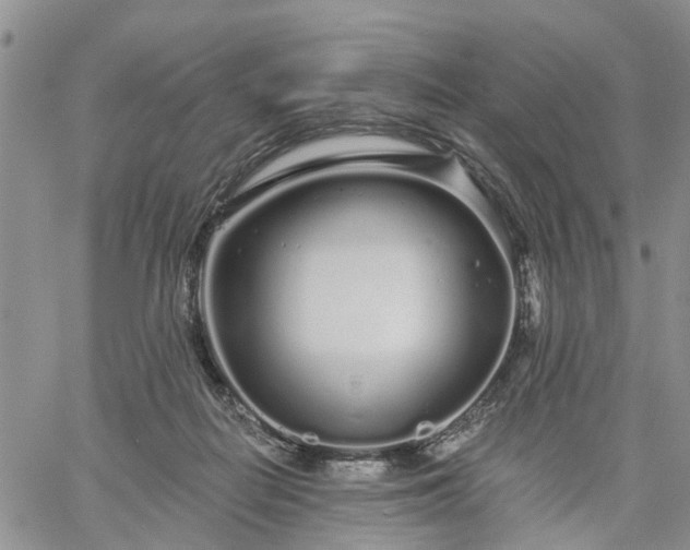 X0000061730266200512091552