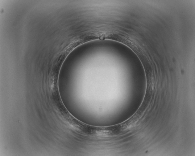 X0000061730268200512091552