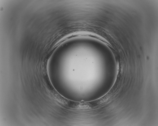 X0000061730270200512091552