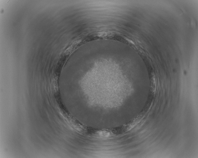 X0000061730272200512091552