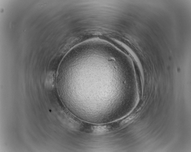 X0000061730273200512091553