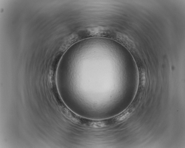 X0000061730275200512091553