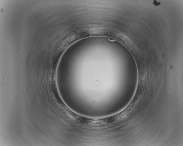 X0000061730277200512091553