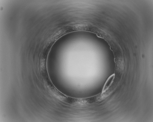 X0000061730278200512091553