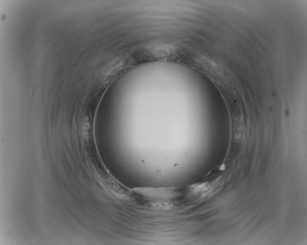 X0000061730279200512091553