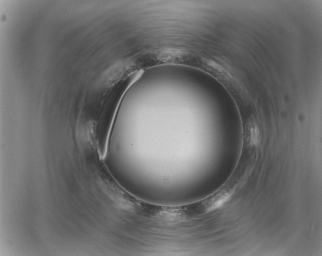 X0000061730280200512091553