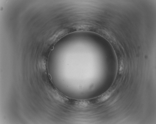 X0000061730282200512091553