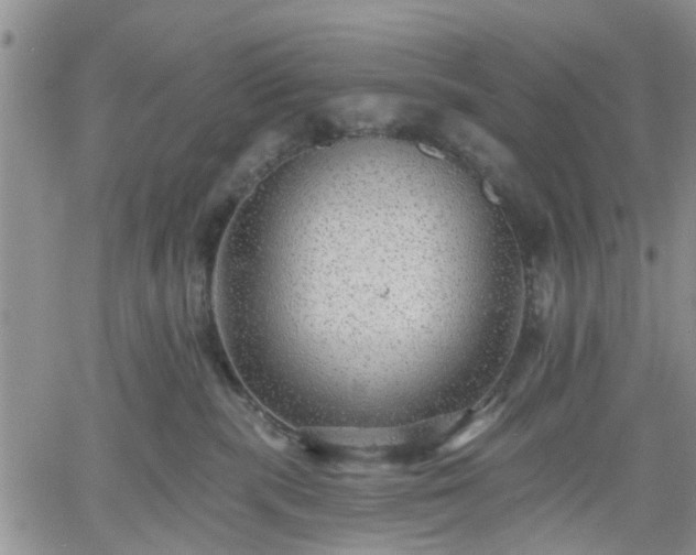 X0000061730283200512091553