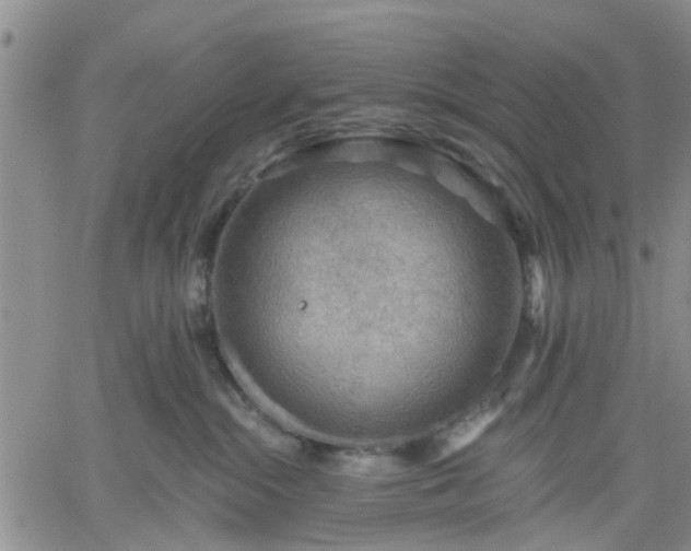 X0000061730284200512091553