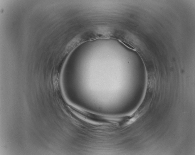 X0000061730285200512091553