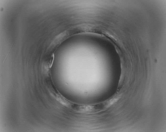 X0000061730288200512091553