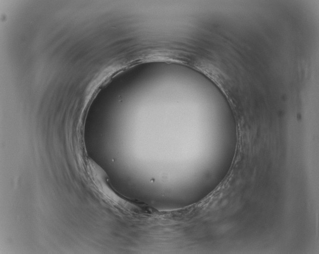 X0000061730289200512091552