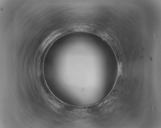 X0000061730291200512091552