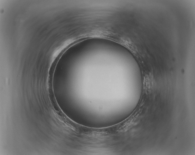 X0000061730292200512091552