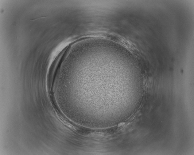 X0000061730294200512091552