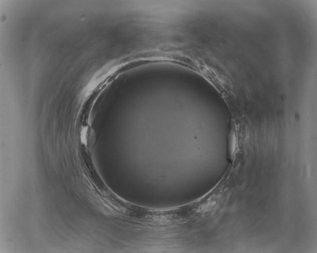 X0000061730295200512091552