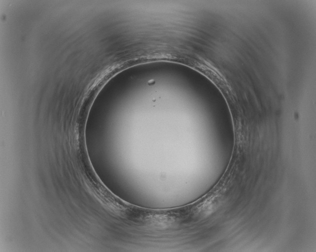 X0000061730298200512091552